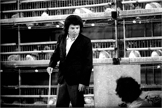 7000-gallinas-y-un-camello-enrique-morente